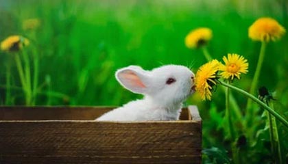 爱游戏电竞-德甲多支劲旅补强中场，争夺冠军最后冲刺，德甲多支劲旅补强中场,争夺冠军最后冲刺了吗