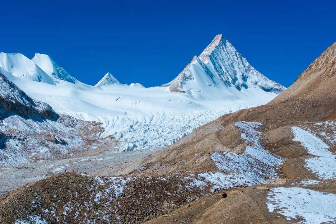 包含“冰雪之巅”！——北极圈内的雪地王者激烈角逐的词条