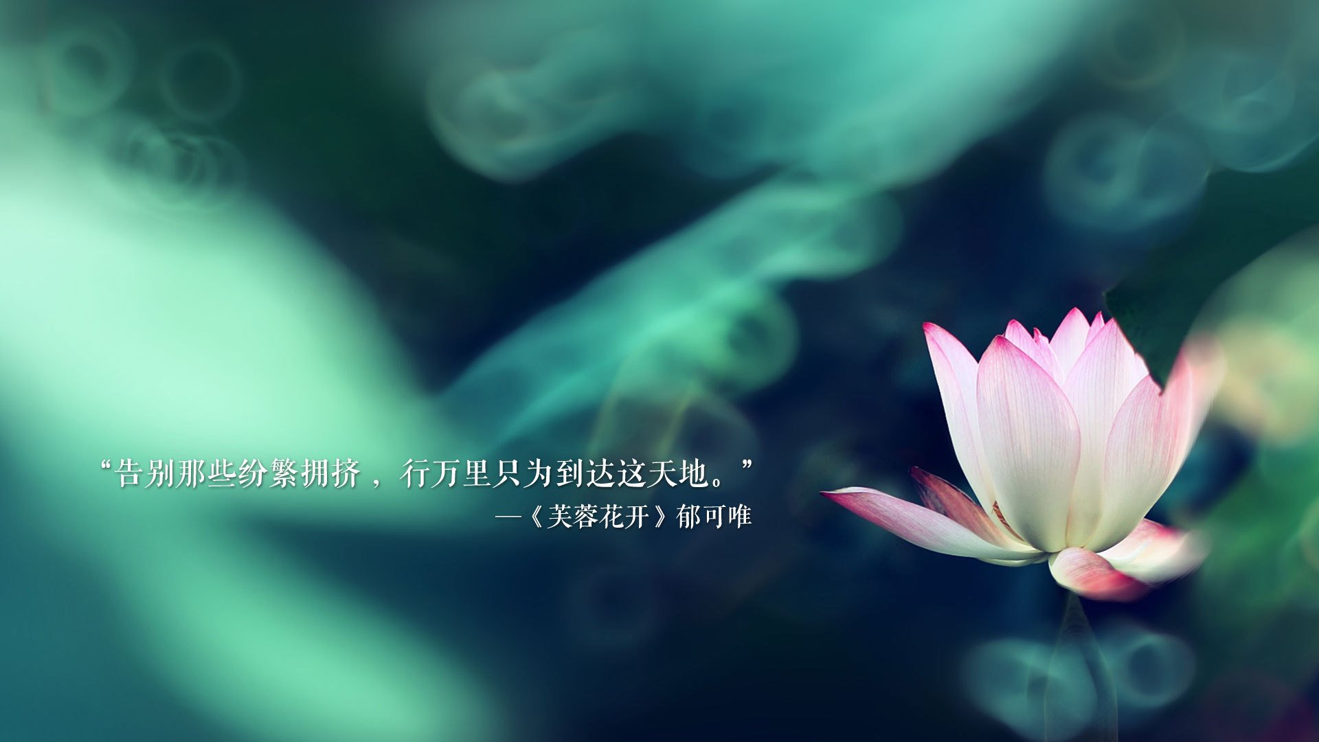战术体现：快攻与外线精准投射成胜负关键！，快攻战术的运用范围