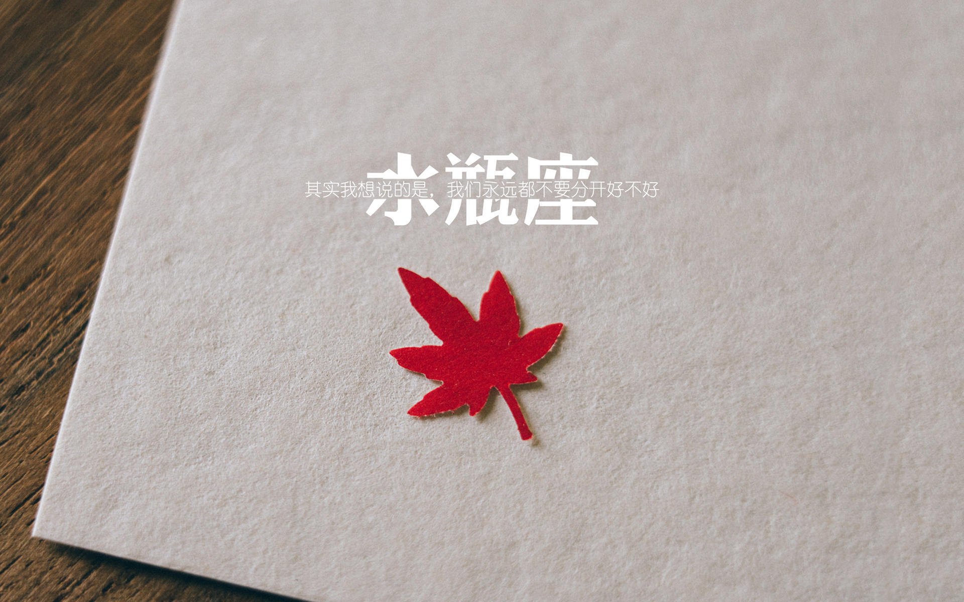 未来之星：青少年冠军的成长故事，未来之星奖项