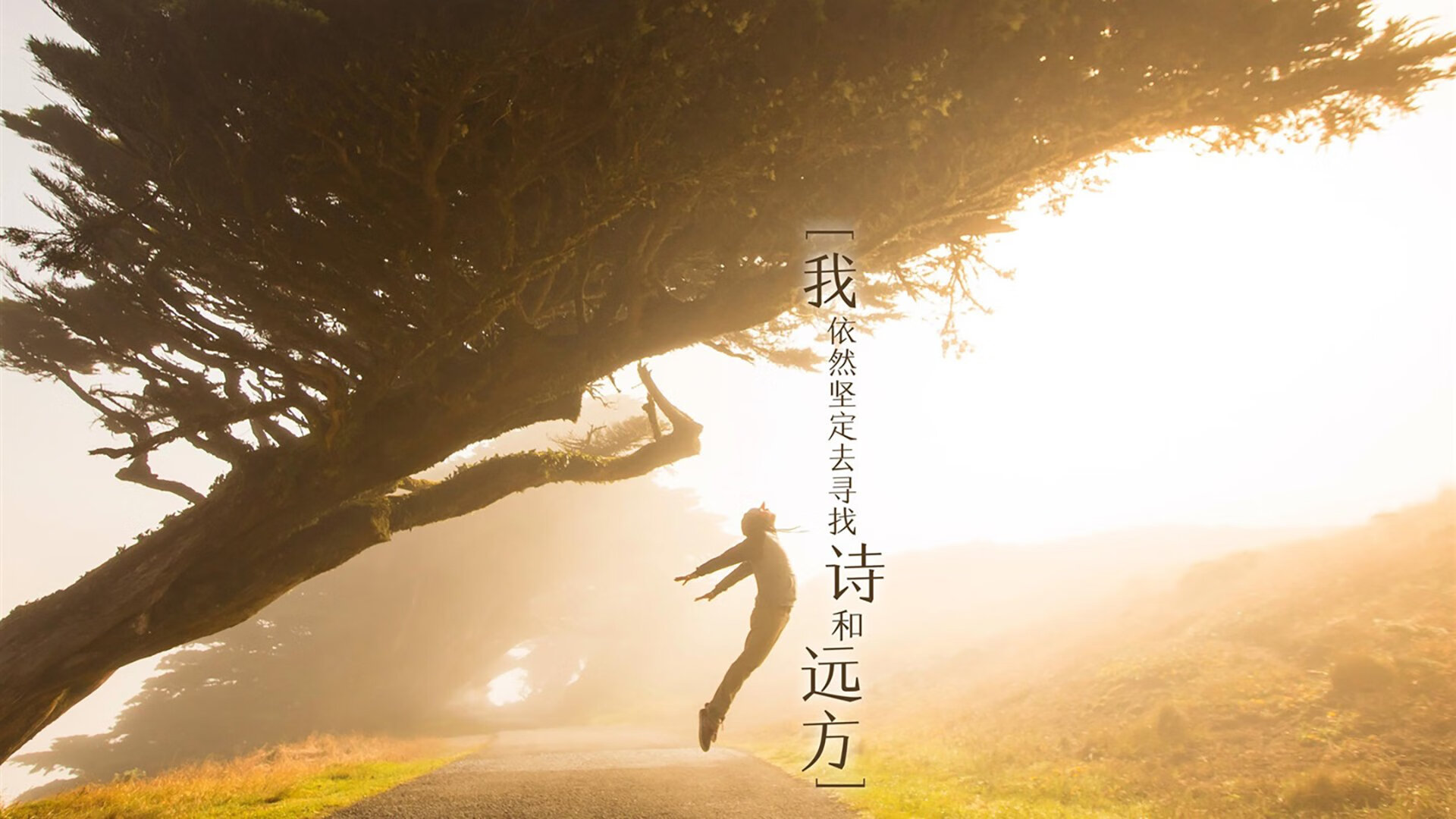 水晶宫主场失利于斯旺西，遭遇困境局面，水晶宫足球俱乐部百科