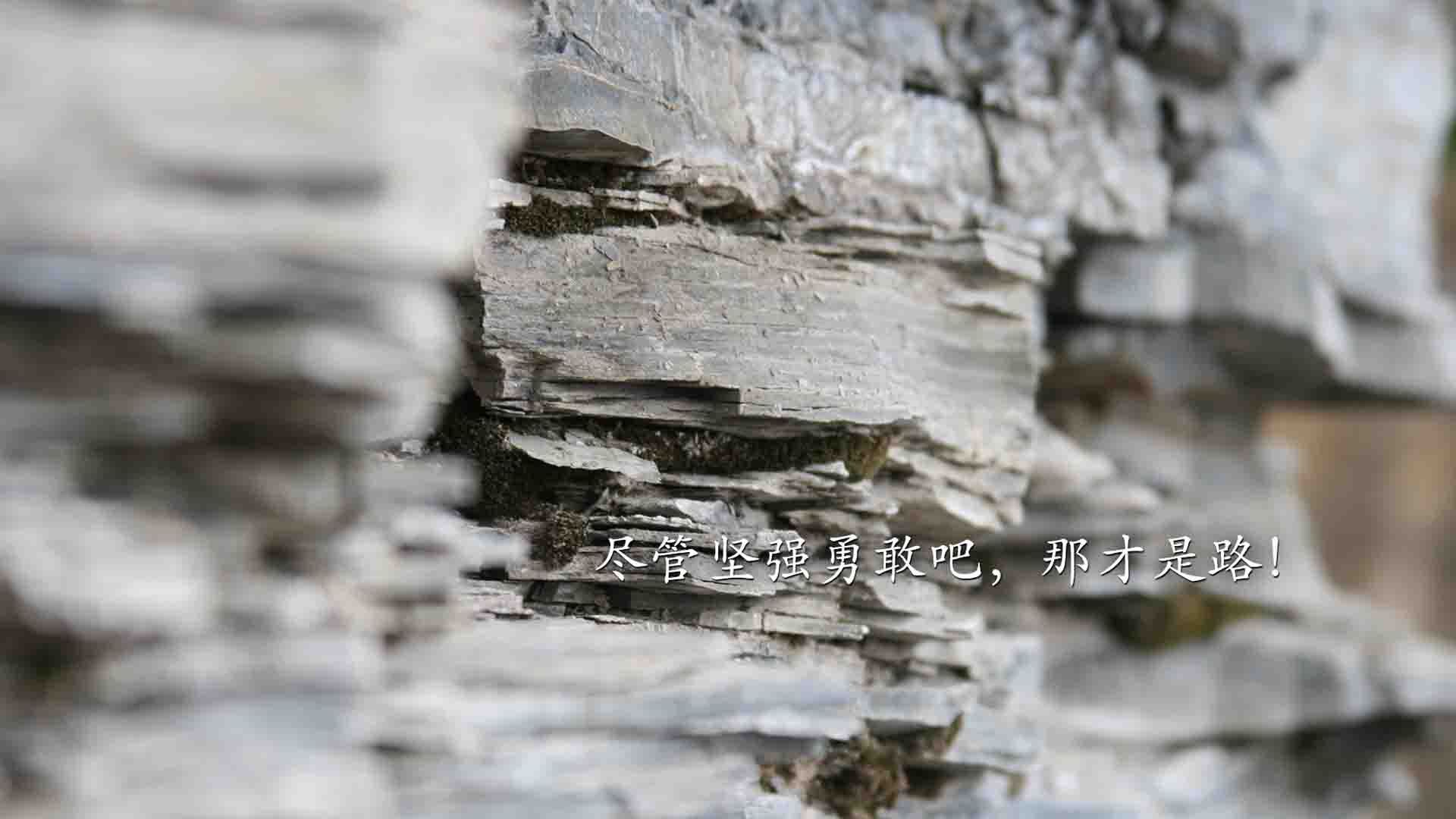 湖人球队核心阵容状态持续火热，湖人的球队