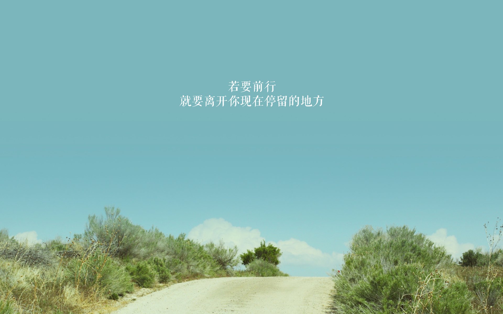 维达德卡萨布兰卡与国际媒体达成合作协议，提升曝光度，卡萨布兰卡 书