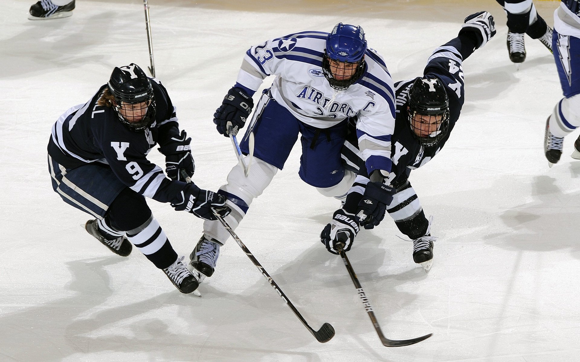 AYX SPORTS-“德甲标志性比赛，场面火爆引人注目”，德甲的标志那个人是谁