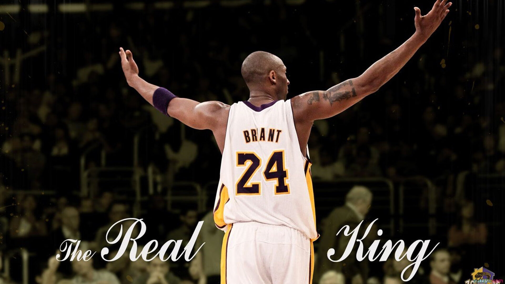 球迷自制视频：年度最珍贵的瞬间合集，10佳球制作视频软件